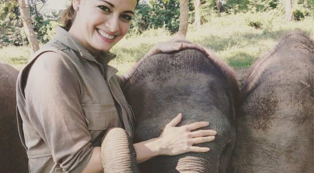 World Elephant Day: Dia Mirza recalls first meet with the gentle giants