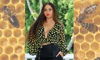 Beyonce reveals she is building a honey farm