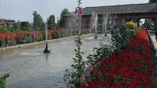 Mughal Gardens in Kashmir aim for UNESCO heritage tag