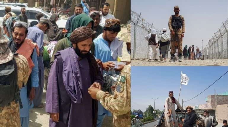 Ghani's contribution