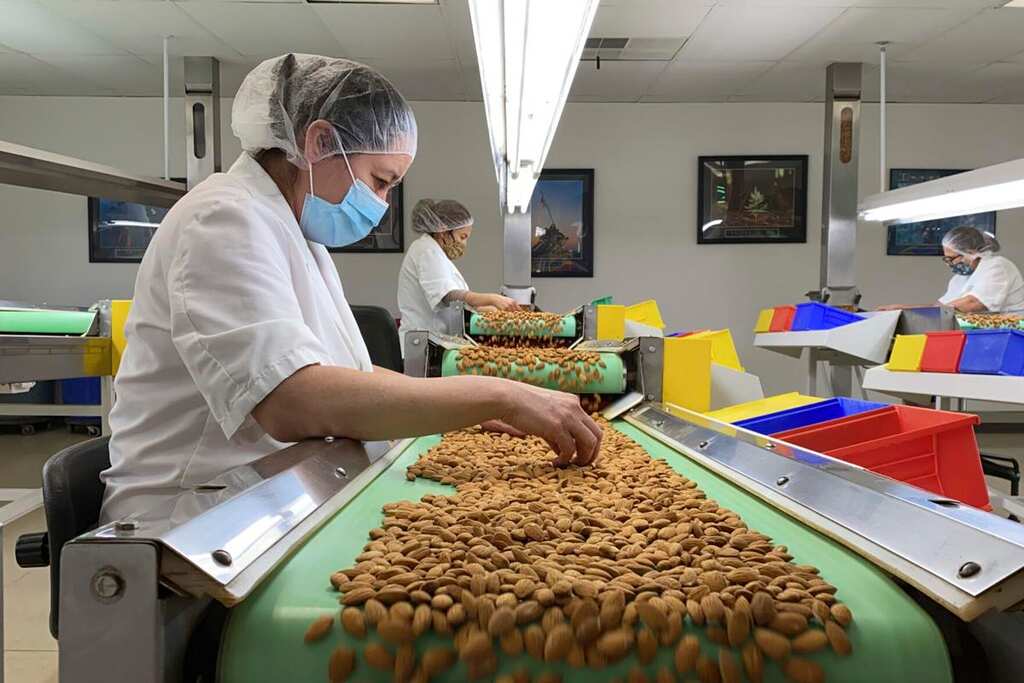 California: Climate change is threatening world's largest Almond producer