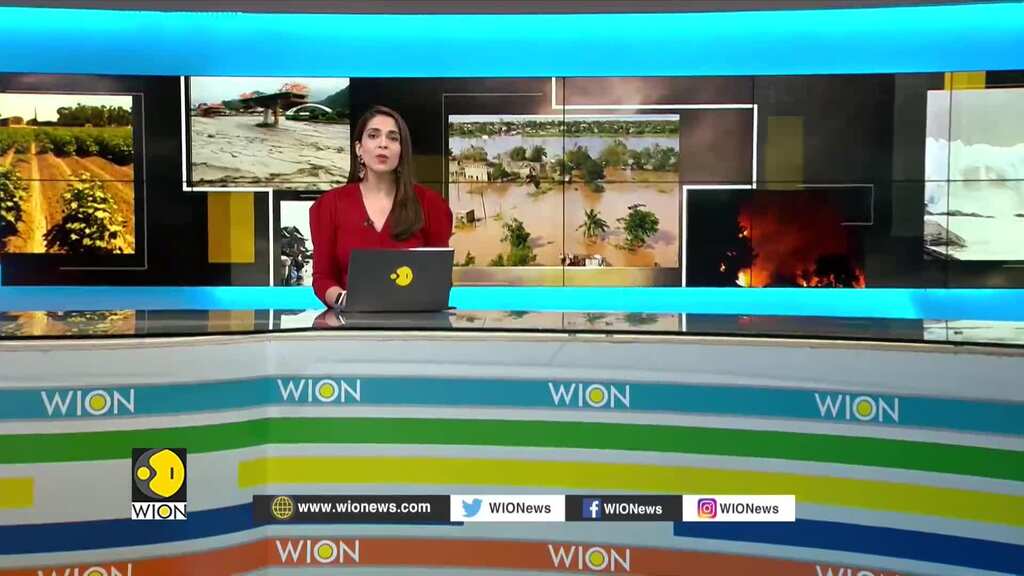 WION Climate Tracker: Wildfires across the world