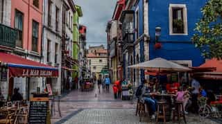 'If you can't handle it, leave': Spanish village tells tourists to not visit if they don't like roosters and cows