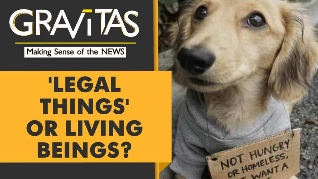 Gravitas: South Korea to grant 'legal status' to animals