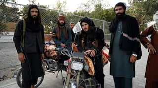 Taliban 'intensifying' door-to-door search for Afghans who helped US, claims UN document