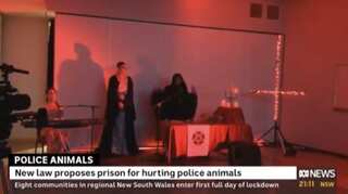 WATCH- 'Hail Satan': News channel mistakenly plays satanic ritual during live telecast