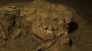 Ancient DNA from a teen girl reveals previously unknown group of humans