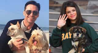 International Dog Day: These are the reasons dogs are so good for your health