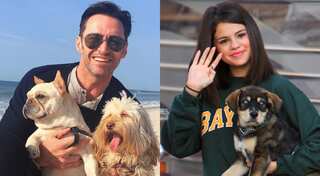 International Dog Day: These are the reasons dogs are so good for your health