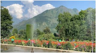 Tourism industry in Kashmir booms again: 8,000 travellers fly in and out in a day