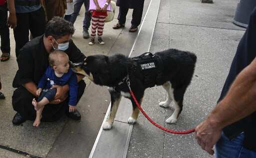 Canine coronavirus