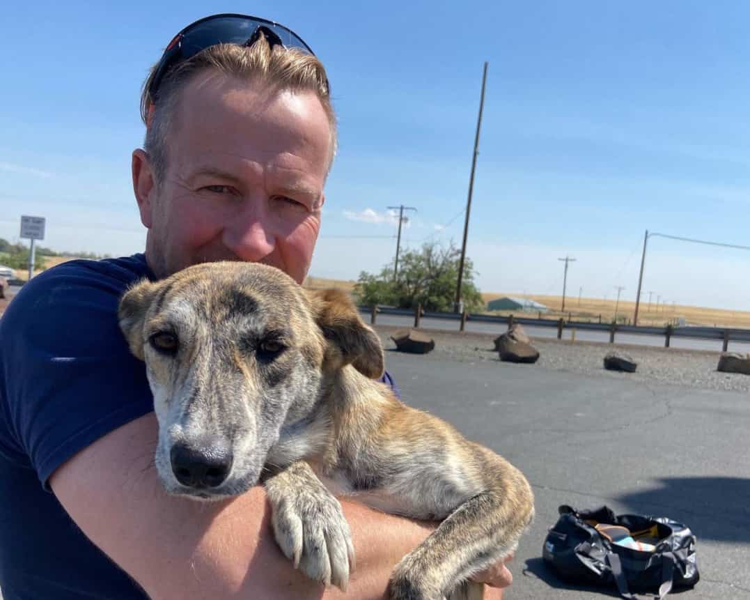 British ex-marine survived Kabul attack with 200 animals British ex-marine survived Kabul attack with 200 animals