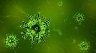 What is long Covid? Study says virus can spread to heart and brain within days, stays for months