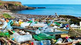 Coastal species are now thriving by colonising on plastic trash in ocean