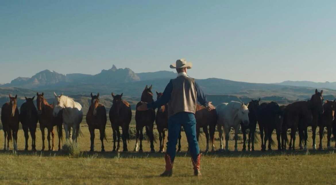 Chris Pine-backed 'My Heroes Were Cowboys' trailer's an ode to a horse trainer Chris Pine-backed 'My Heroes Were Cowboys' trailer's an ode to a horse trainer