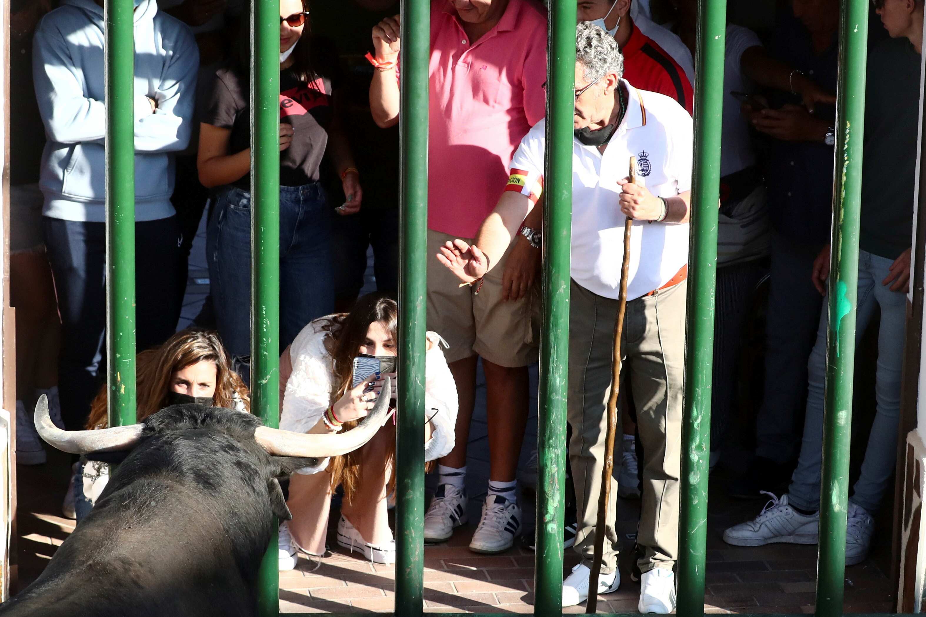 Revellers look at a steer during a running-of-the-bull festival in Villaseca de la Sagra