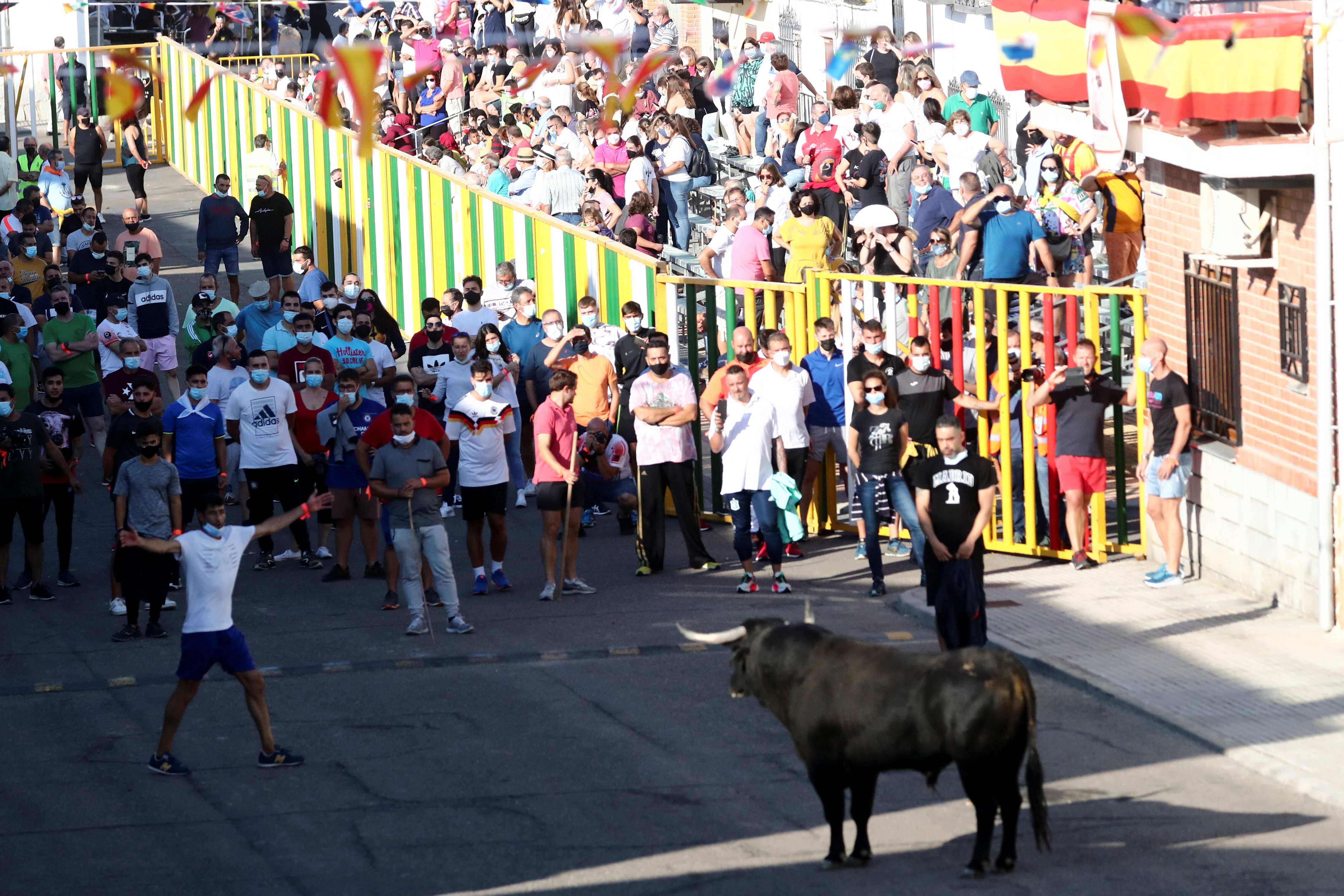 People watch a steer during a running-of-the-bull festival in Villaseca de la Sagra