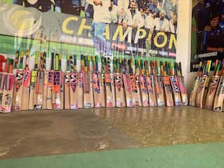 Kashmir willow bats to get GI tagging, study reveals this will serve as a great marketing strategy