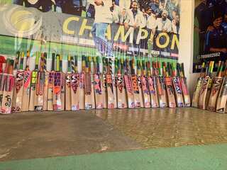 Kashmir willow bats to get GI tagging, study reveals this will serve as a great marketing strategy