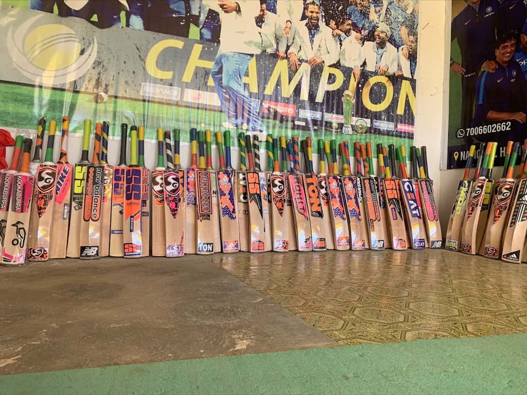 Kashmir willow bats to get GI tagging, study reveals this will serve as a great marketing strategy