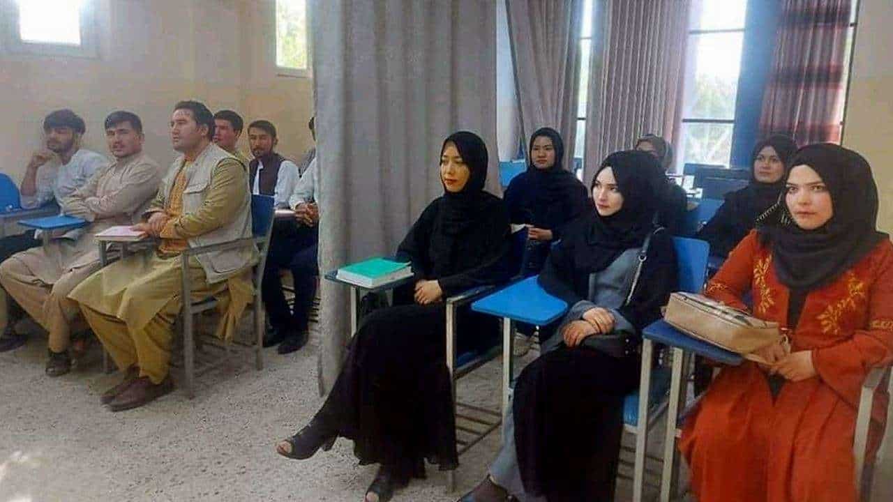 Female and male students separated by curtains as classes resume in Afghanistan universities