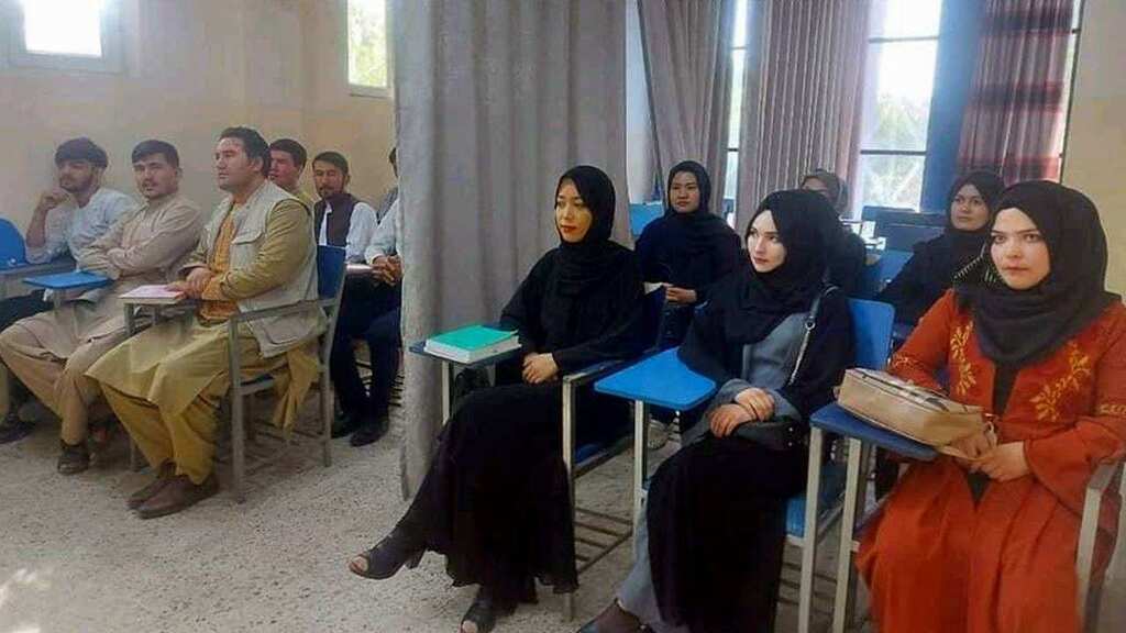 Female and male students separated by curtains as classes resume in Afghanistan universities