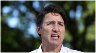 Watch: Stones thrown at Justin Trudeau at election campaign event