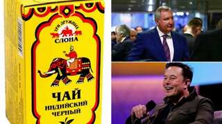 Russian space agency chief invites Elon Musk for tea and space talks