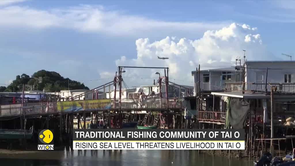Fishermen in Hong Kong fear for their life after devastating typhoons