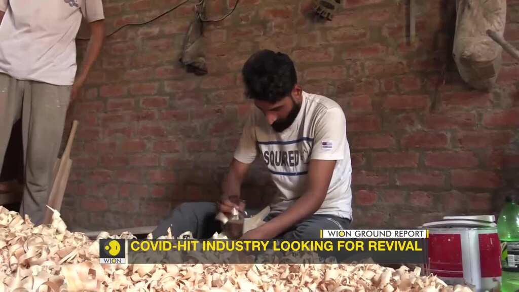 Kashmir willow bats to get GI tagging for a big boost in international markets