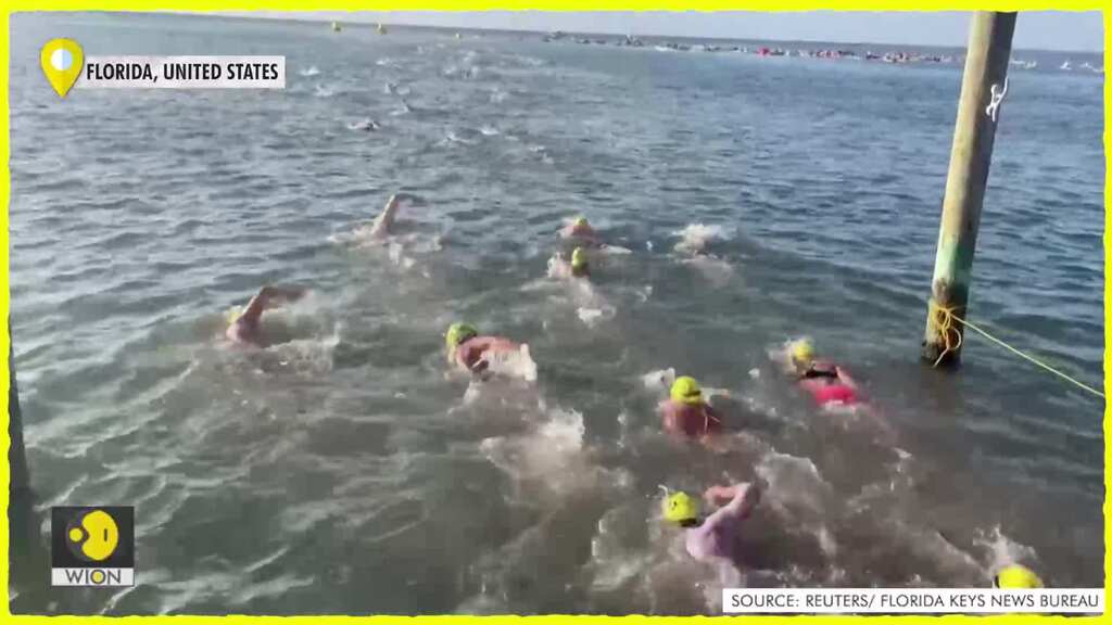 Over 460 swimmers compete in open-water Florida Keys race | Edge | WION Latest News