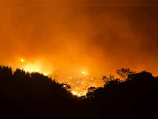 In Pics | 6,000 hectares of forest burnt in Spain as wildfires blazes for fifth day