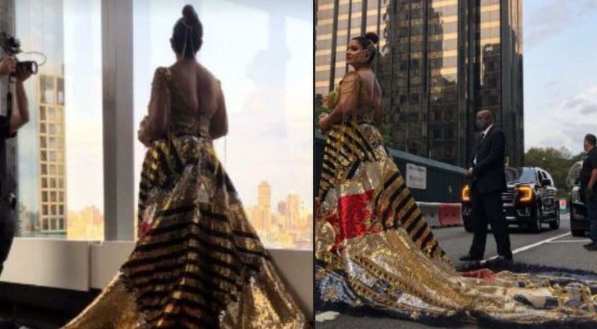 Sudha Reddy shows off Indian craftsmanship at the Met Gala red carpet