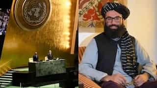 Top 10 world news: Schedule of 76th UNGA, Taliban's Anas Haqqani speaks to WION, and more