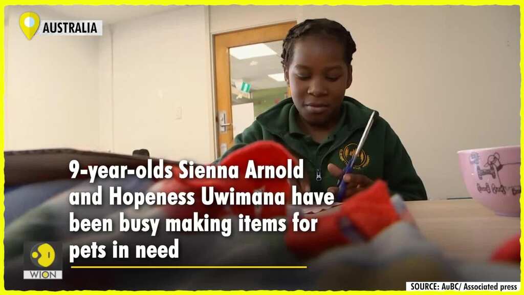 School students help pets whose owners fled domestic violence