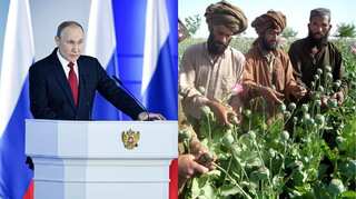 Lack of money may push Afghan authorities to turn to drug trafficking: Putin