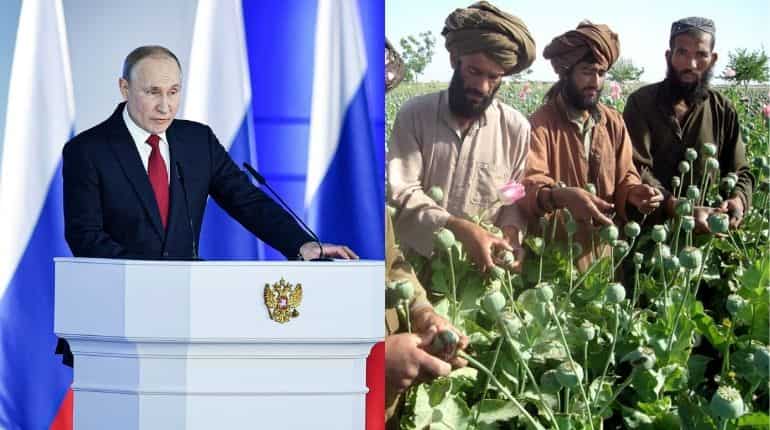 Lack of money may push Afghan authorities to turn to drug trafficking: Putin