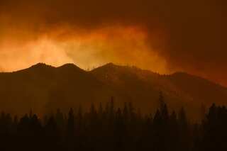 California wildfires have killed 20% of giant sequoias over a time span of 2 years