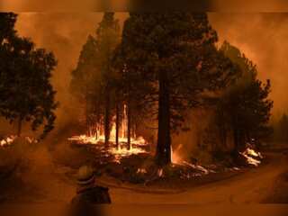 In Pics | Firefighters try and protect giant sequoias amid California fires