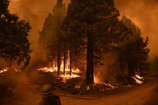 Father, son duo held over suspicion of starting major wildfire in US state