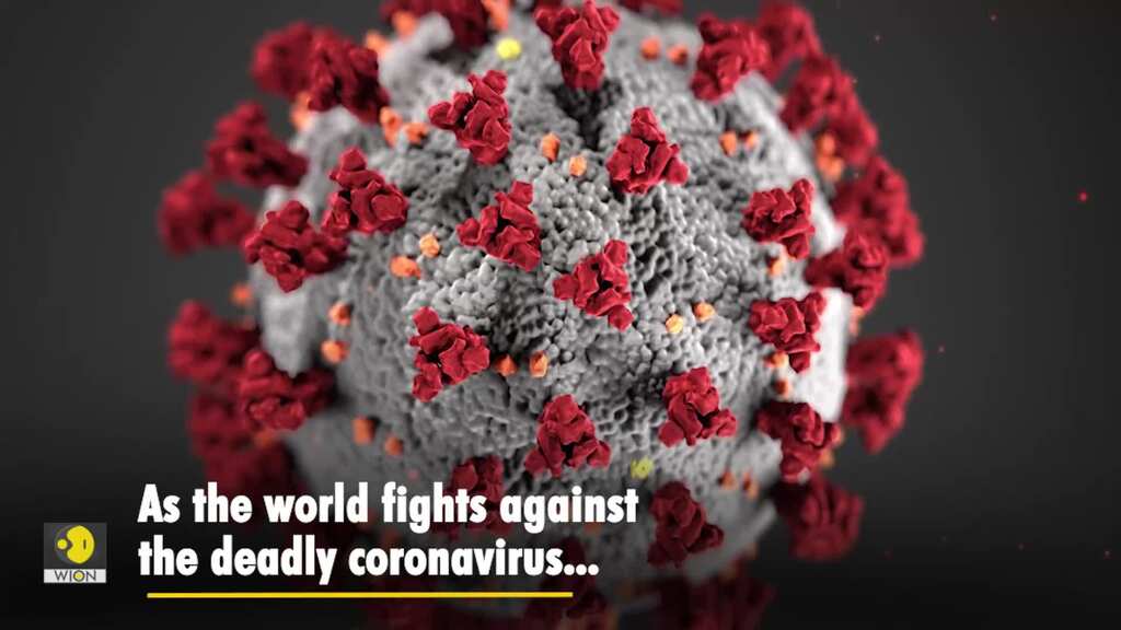 Black market for fake Covid vaccine certificates reported in 29 countries, says survey