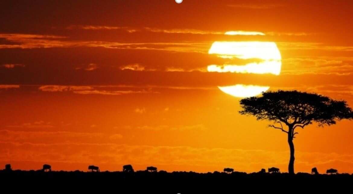 Experience the magic of Kenya beyond Maasai Mara Experience the magic of Kenya beyond Maasai Mara