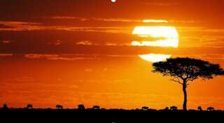 Experience the magic of Kenya beyond Maasai Mara