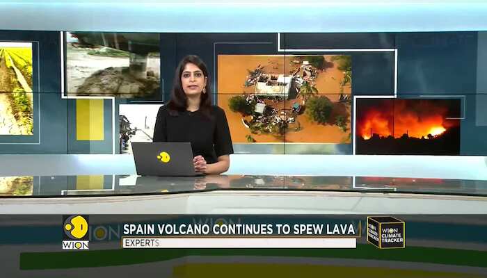 WionNews Video