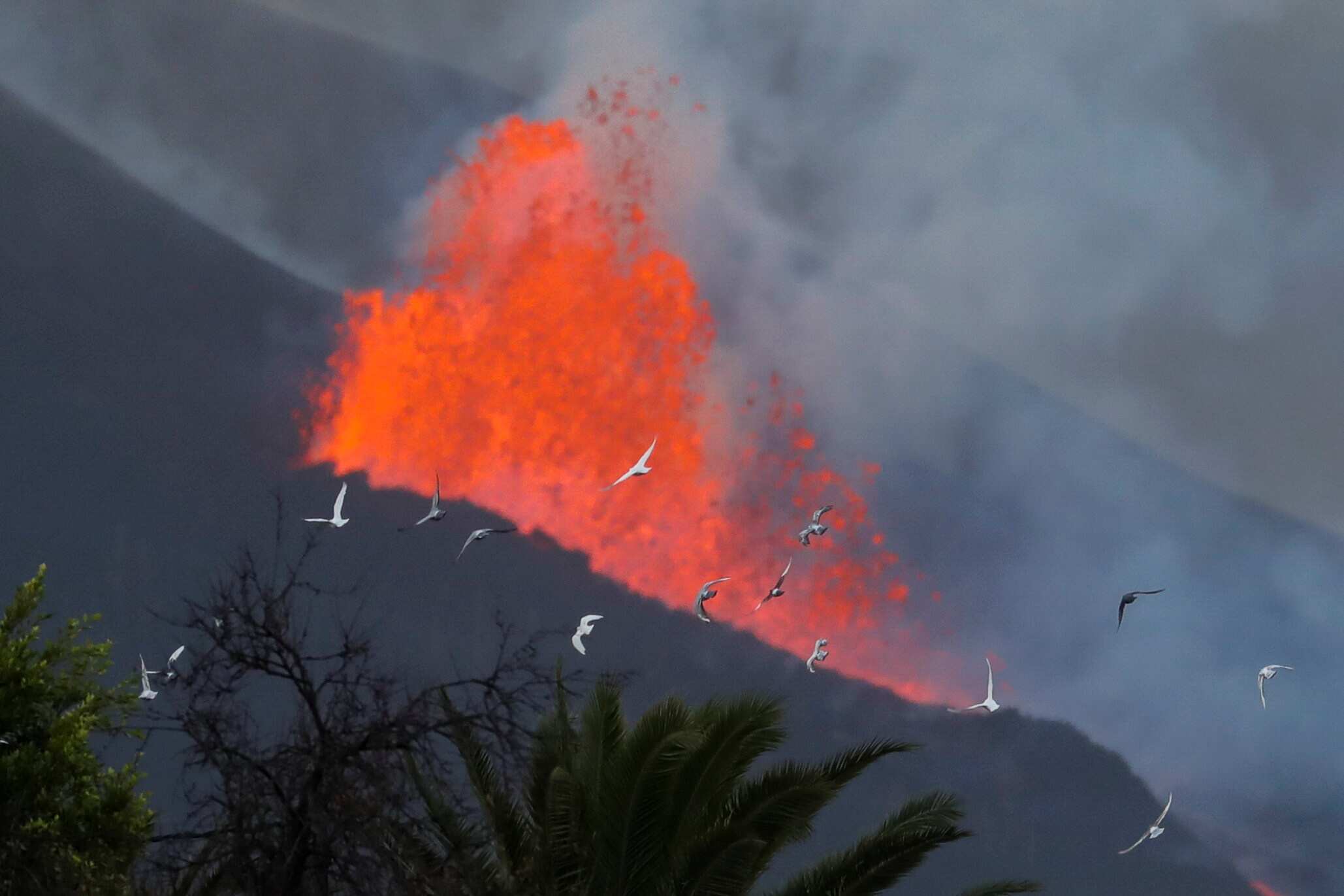 La Palma, a disaster zone