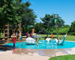 Child dies after 'brain-eating' amoeba gets into skull at water park