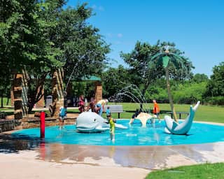 Child dies after 'brain-eating' amoeba gets into skull at water park
