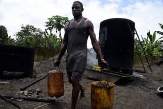 Nigeria looks to revive ailing palm oil sector