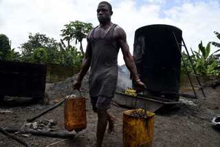 Nigeria looks to revive ailing palm oil sector