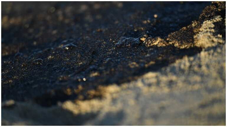 Oil spill due to pipeline leak hits California shores Oil spill due to pipeline leak hits California shores